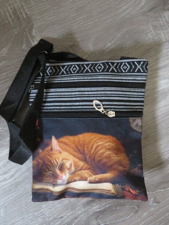 Cute Ginger Cat Crossbody Bag (B347) - Picture 1 of 4